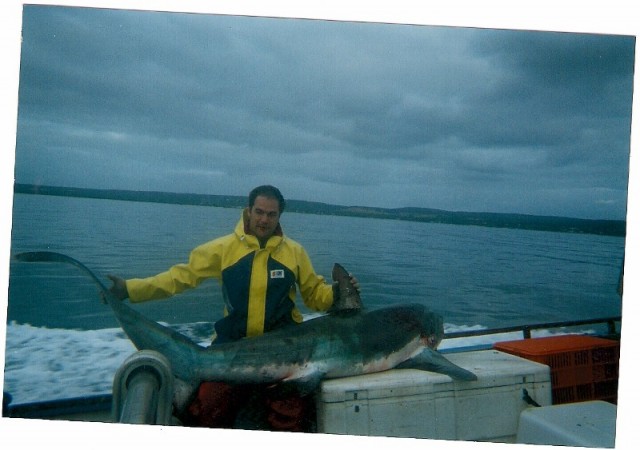 Thresher Shark...Cape Nat.